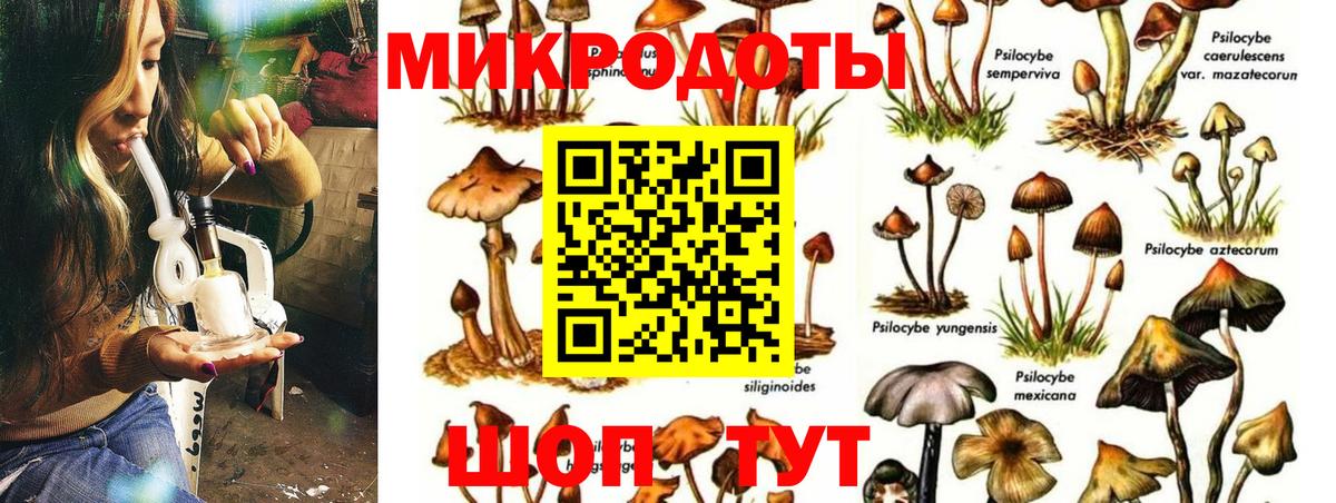 Северск  Галлюциногенные грибы мухоморы  Вход с VPN 